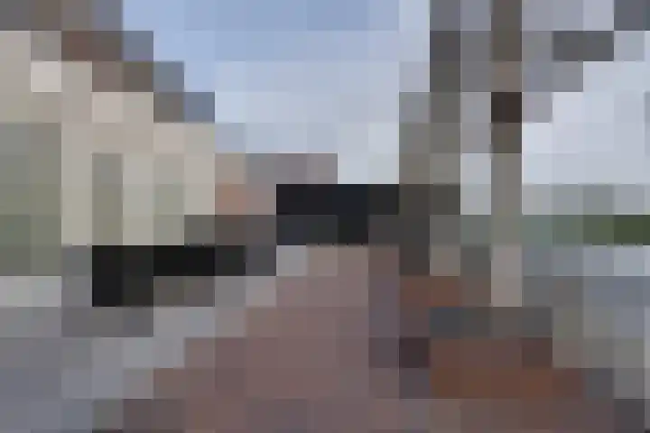 Oorgat 3 a Edam thumbnail 32