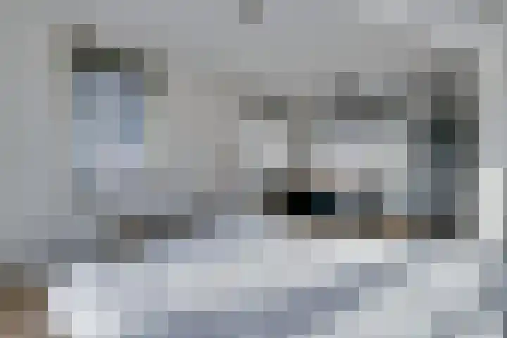 Oorgat 3 a Edam thumbnail 41