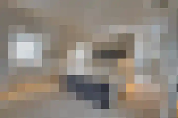 Oorgat 3 a Edam thumbnail 51