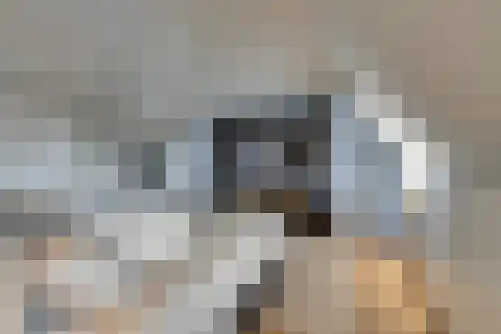 Oorgat 3 a Edam thumbnail 52