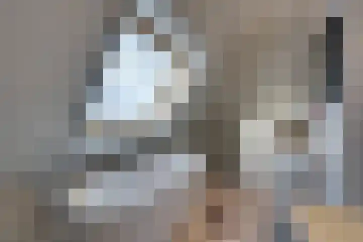 Oorgat 3 a Edam thumbnail 57