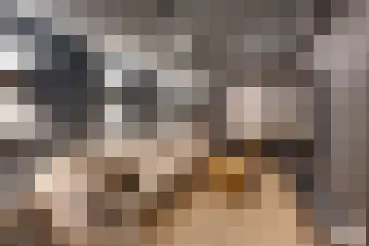 Oorgat 3 a Edam thumbnail 59