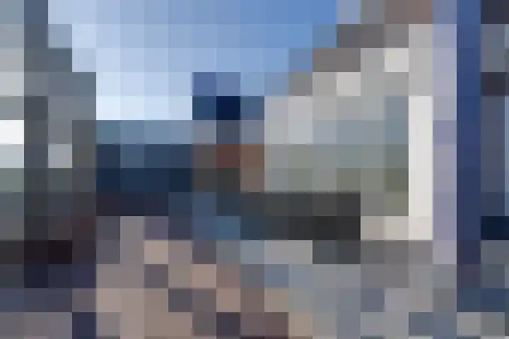 Oorgat 3 a Edam thumbnail 70