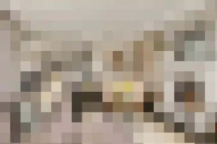 Oorgat 5 j Edam thumbnail 10