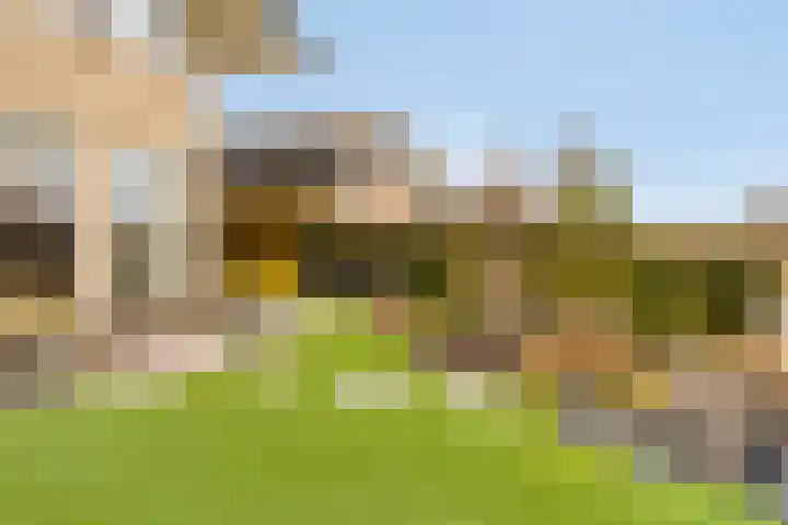 Oorgat 5 j Edam thumbnail 12