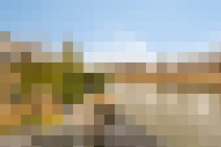 Oorgat 5 j Edam thumbnail 13
