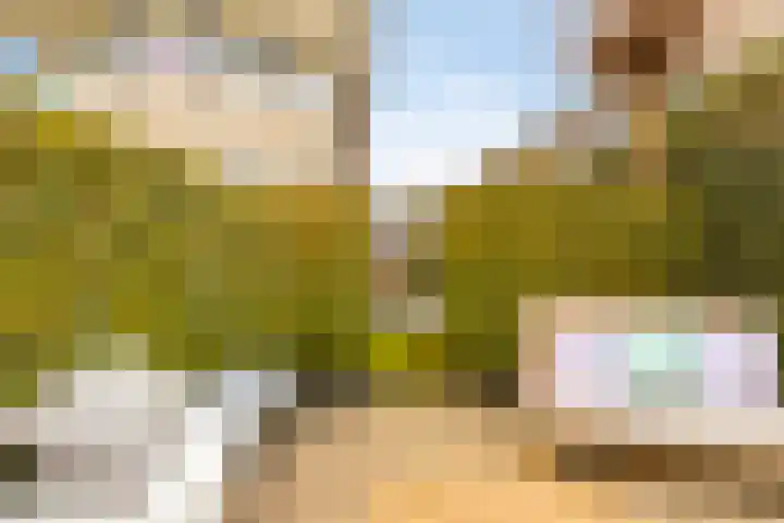 Oorgat 5 j Edam thumbnail 15