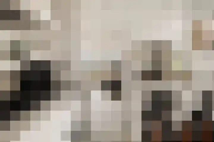 Oorgat 5 j Edam thumbnail 20