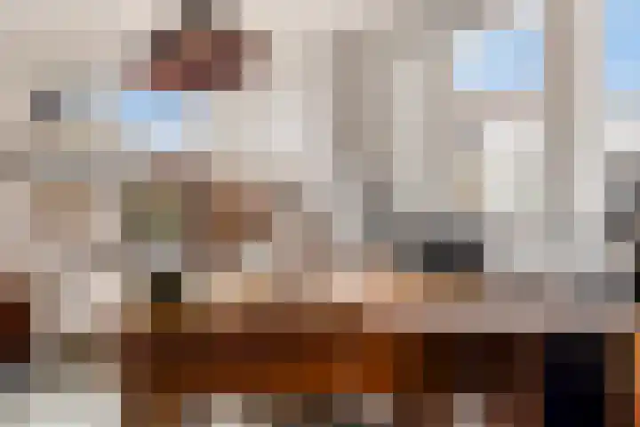 Oorgat 5 j Edam thumbnail 28