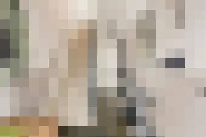 Oorgat 5 j Edam thumbnail 29