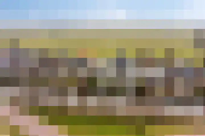 Oorgat 5 j Edam thumbnail 4