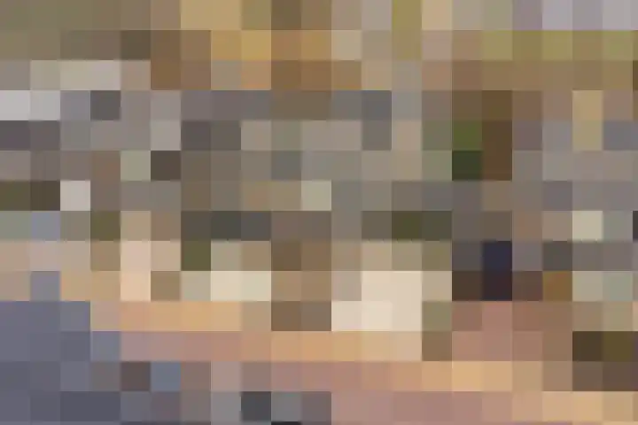 Oorgat 5 j Edam thumbnail 48