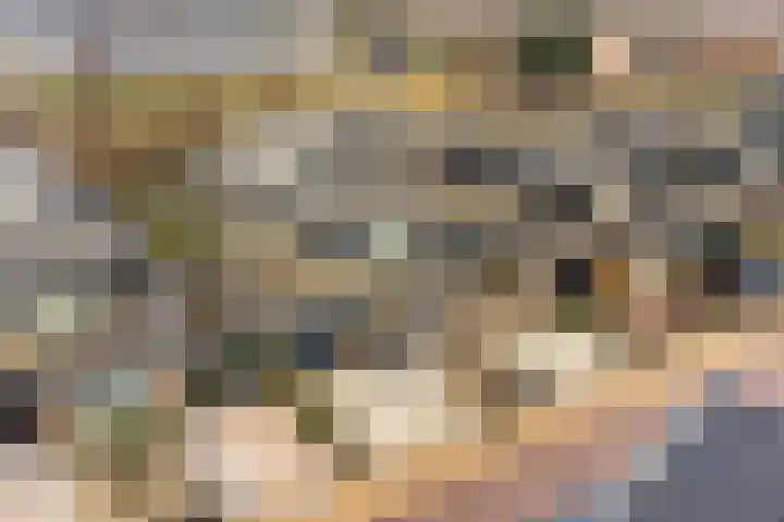 Oorgat 5 j Edam thumbnail 49