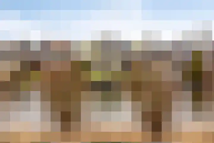 Oorgat 5 j Edam thumbnail 5
