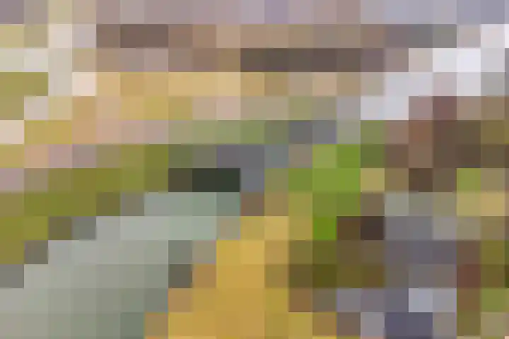 Oorgat 5 j Edam thumbnail 53
