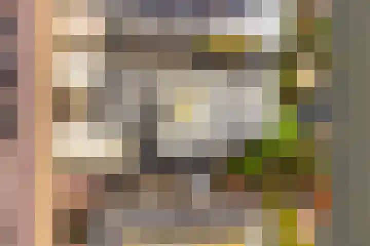 Oorgat 5 j Edam thumbnail 55