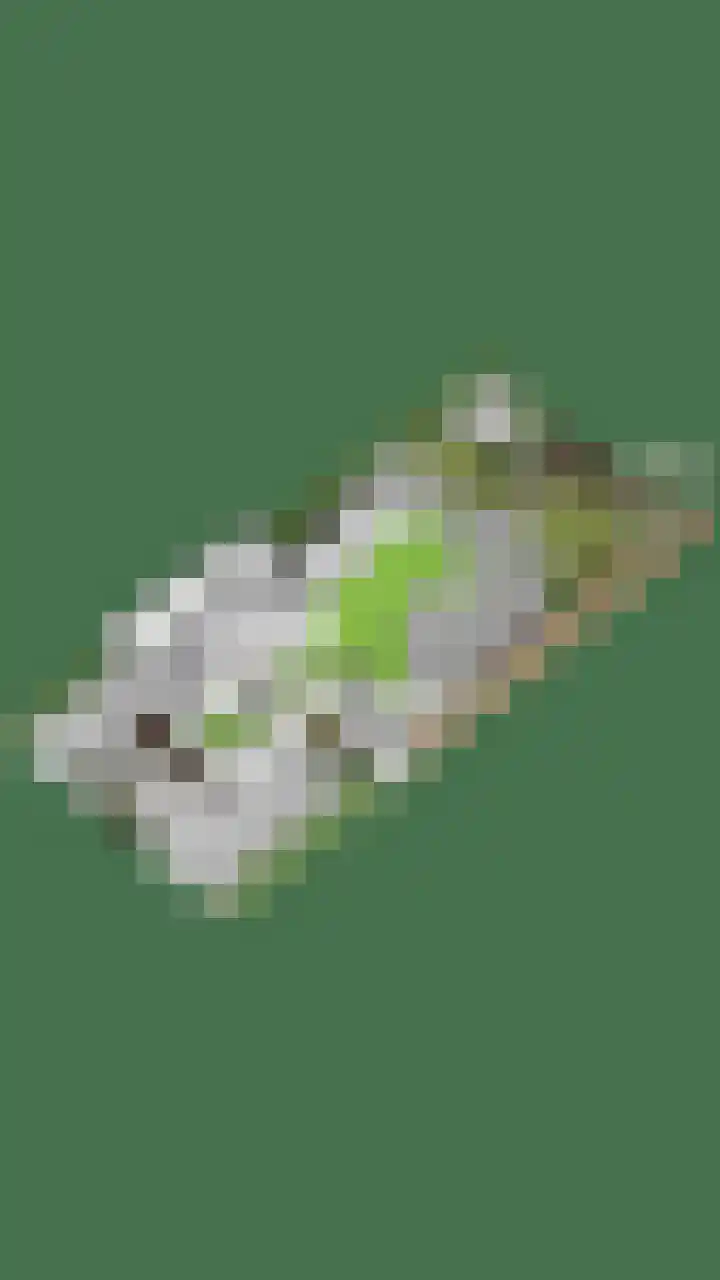 Oorgat 5 j Edam thumbnail 59