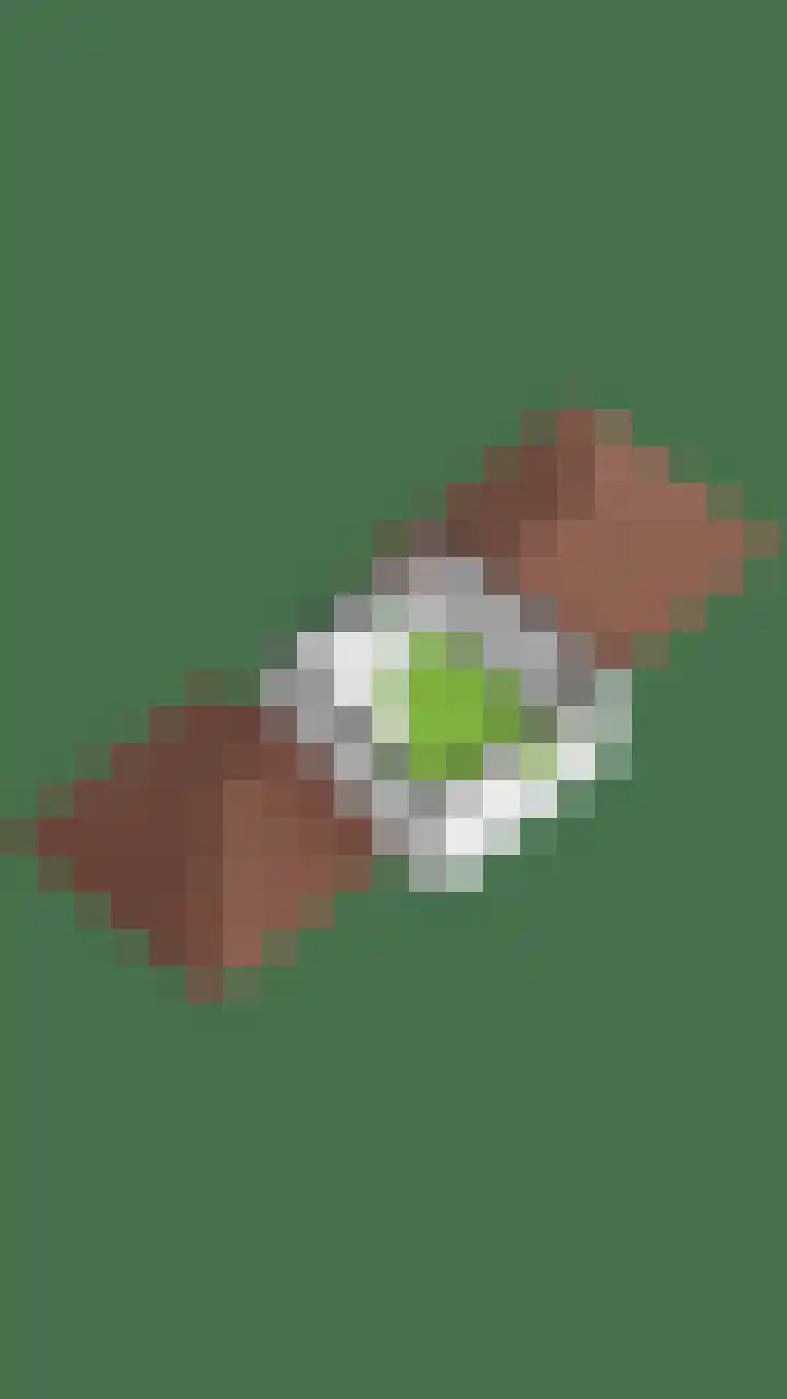 Oorgat 5 j Edam thumbnail 63