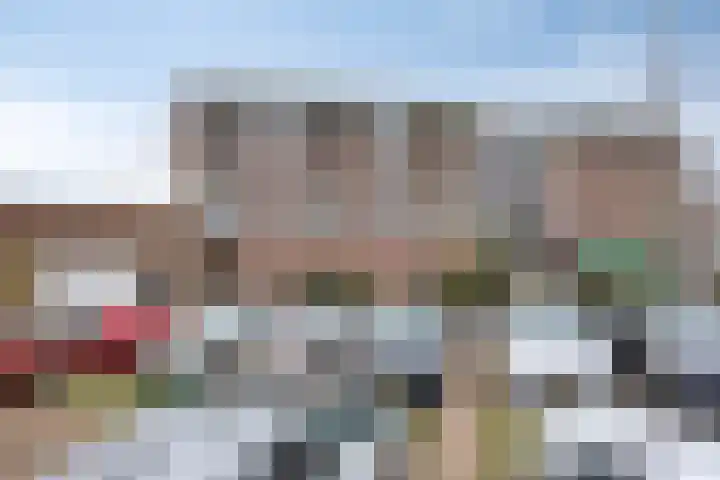 Oost Vaardeke 47 Oudenbosch thumbnail 26