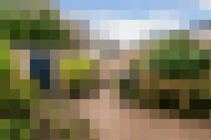 Oostblok 135 Delft thumbnail 16