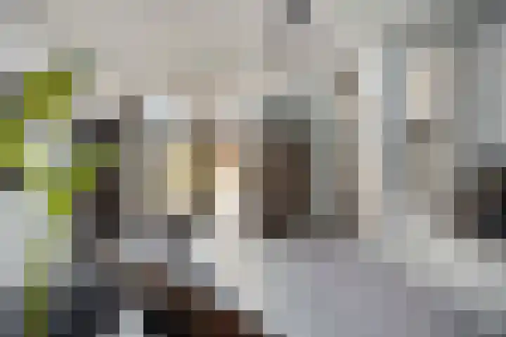 Oostblok 14 Delft thumbnail 12