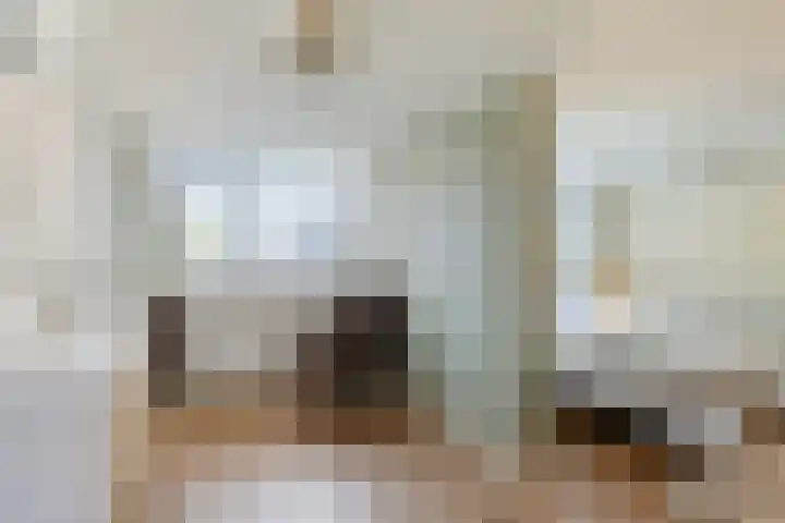 Oostdam 6 Steenbergen thumbnail 23