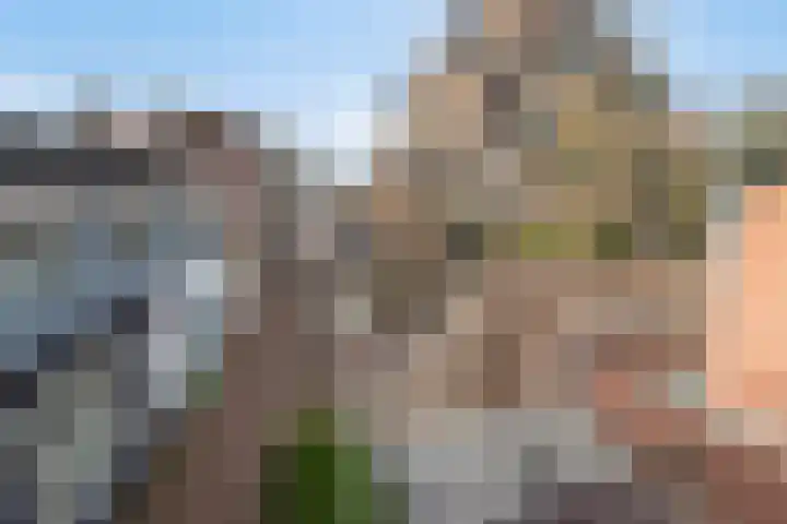 Oostdam 6 Steenbergen thumbnail 33