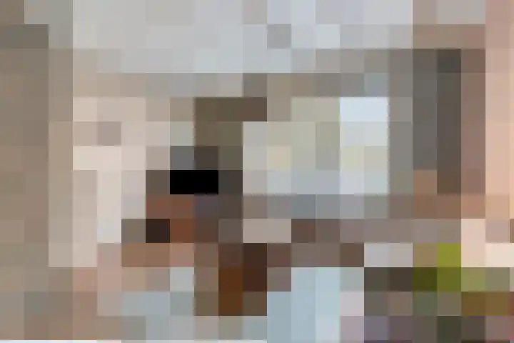 Oostdam 6 Steenbergen thumbnail 7