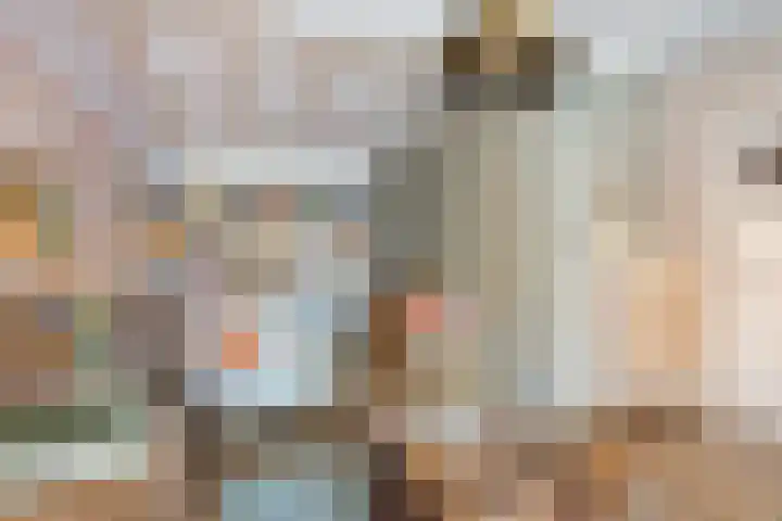 Oostdam 6 Steenbergen thumbnail 8
