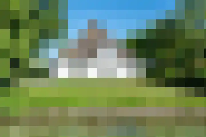 Oostdijk 12 in Driehuizen
