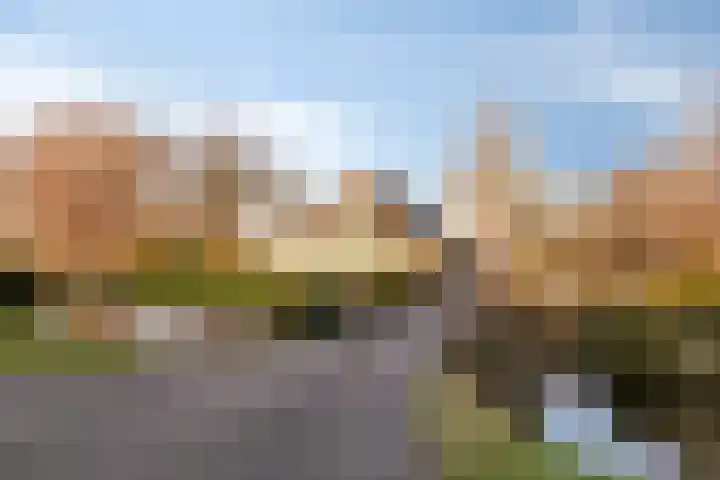 Oostdijk 12 C dans Driehuizen