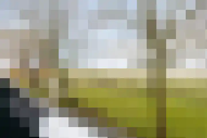 Oostdijk 12 C Driehuizen thumbnail 22