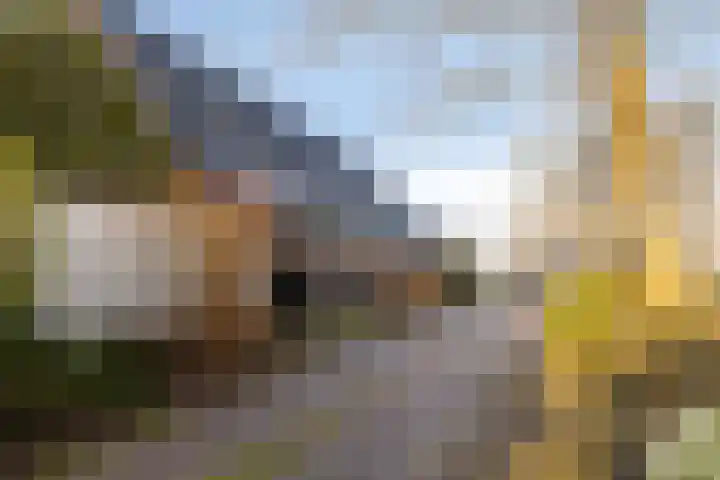 Oostdijk 12 C Driehuizen thumbnail 8