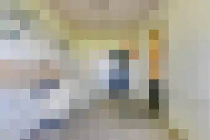 Oostdijk 12 Driehuizen thumbnail 24