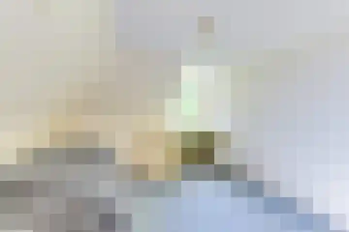 Oostdijk 12 Driehuizen thumbnail 31