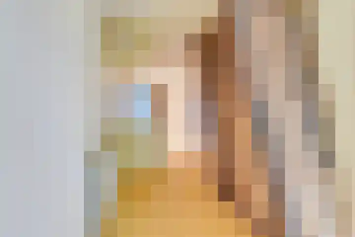 Oostdijk 12 Driehuizen thumbnail 34