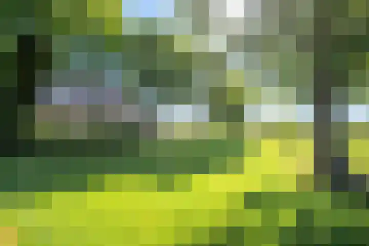 Oostdijk 12 Driehuizen thumbnail 47