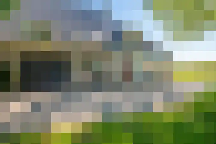 Oostdijk 12 Driehuizen thumbnail 48