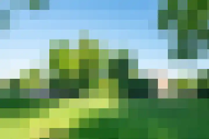 Oostdijk 12 Driehuizen thumbnail 49