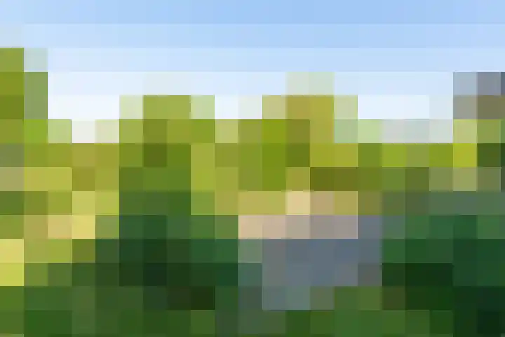 Oostdijk 12 Driehuizen thumbnail 52