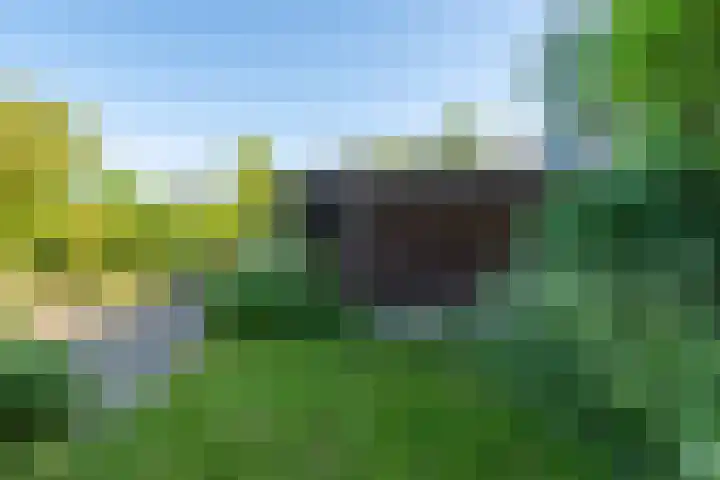 Oostdijk 12 Driehuizen thumbnail 53