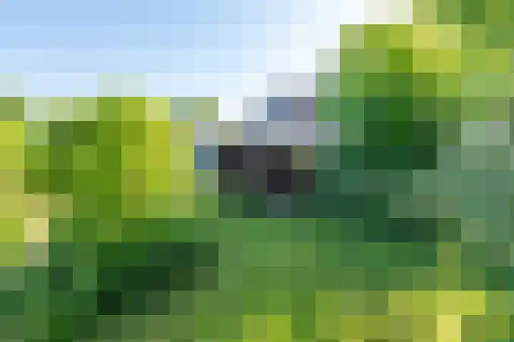 Oostdijk 12 Driehuizen thumbnail 54
