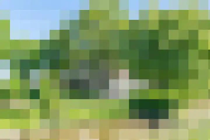 Oostdijk 12 Driehuizen thumbnail 57