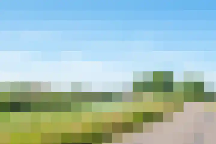 Oostdijk 12 Driehuizen thumbnail 59
