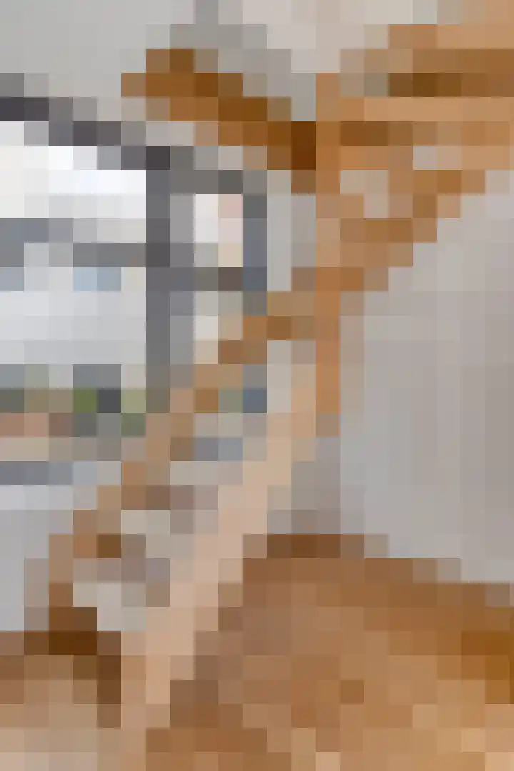 Oostdijk 2 Sommelsdijk thumbnail 10