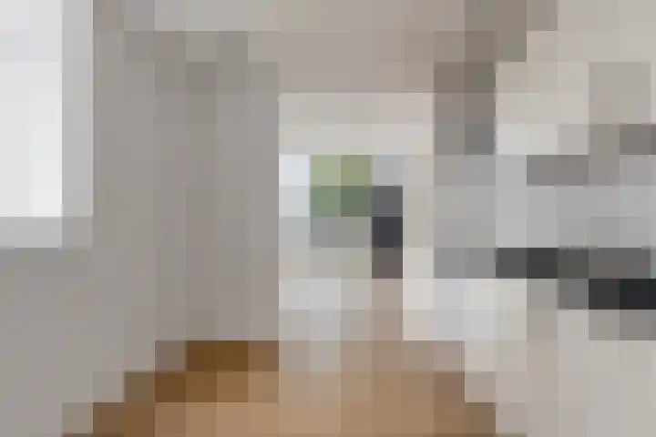 Oostdijk 2 Sommelsdijk thumbnail 14