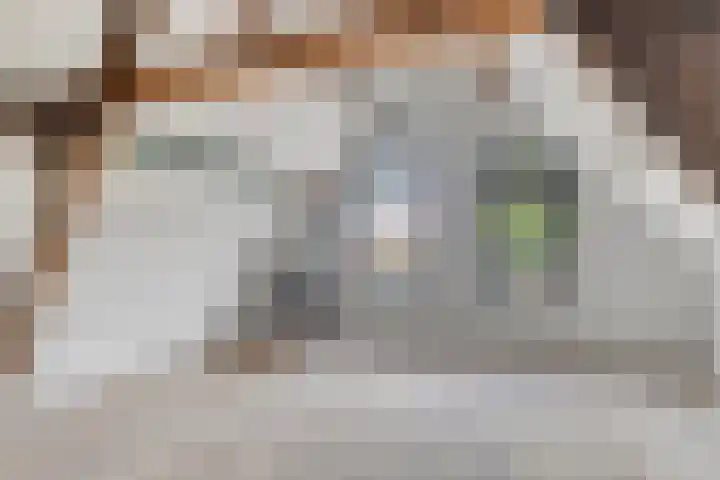 Oostdijk 2 Sommelsdijk thumbnail 17