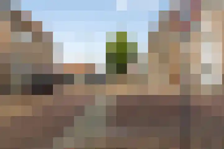 Oostdijk 2 Sommelsdijk thumbnail 22
