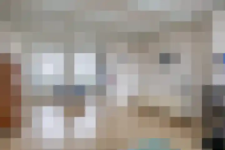 Oostdijk 33 Sommelsdijk thumbnail 10