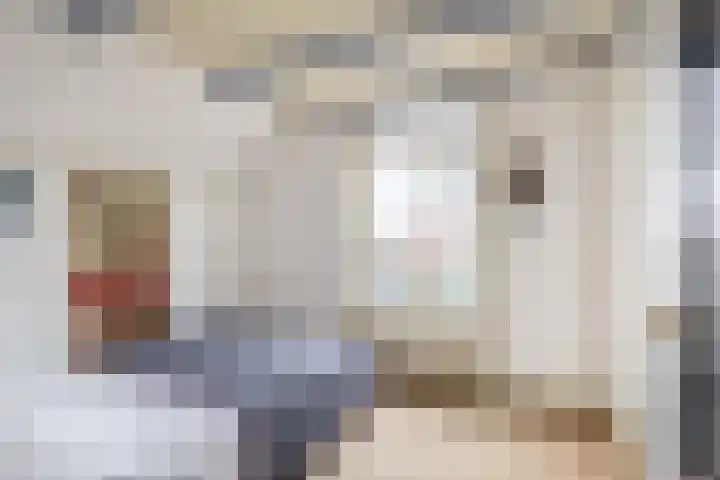 Oostdijk 33 Sommelsdijk thumbnail 23